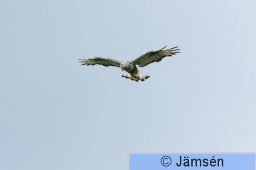 DSC_22050570.jpg