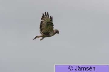 DSC_6478017226.jpg