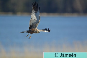 20170516-DSC_0121.jpg