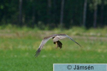 DSC_5509.jpg