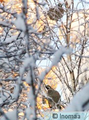 IMG_5848.JPG