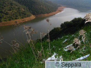 picture 25E_Vincenzo Penteriani.JPG