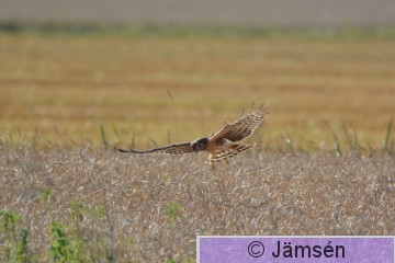 20160916-DSC_7170.jpg