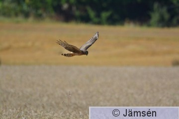 20160916-DSC_7208.jpg