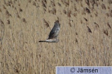 20170501-DSC_5747.jpg