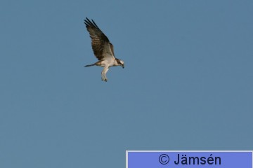 DSC_5726.jpg