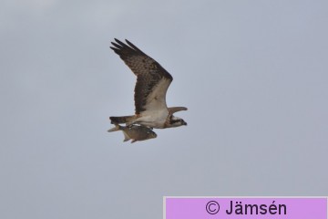 DSC_8961.jpg