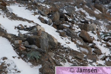 DSC_48424442.jpg