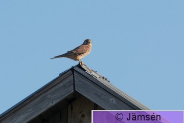 DSC_289918501.jpg