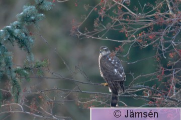DSC_3114.jpg