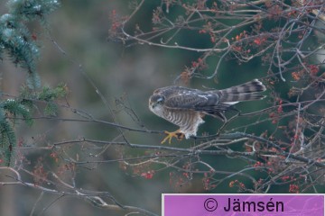 DSC_3117.jpg