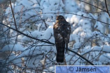 DSC_790101491.jpg