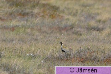 20150604-DSC_9160.jpg
