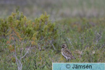 DSC_3263.jpg