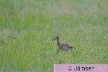 20150723-DSC_4693.jpg