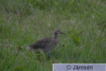 DSC_7180013563.jpg