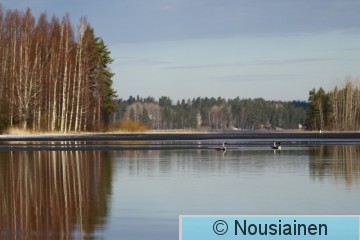 Kuikka4a RS vappu18.jpg
