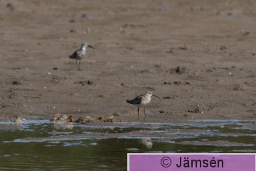 DSC_3169019857.jpg