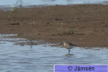 DSC_4145020330.jpg