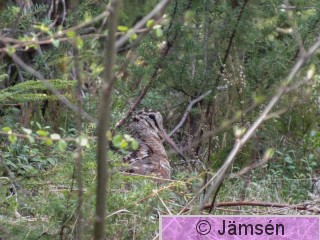 DSCF7398.jpg