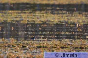 20170505-DSC_8241.jpg