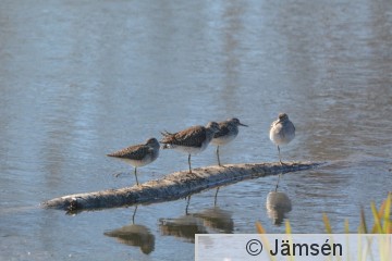 20170516-DSC_0515.jpg