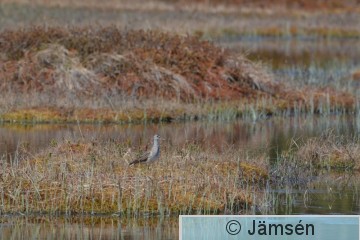DSC_3065.jpg