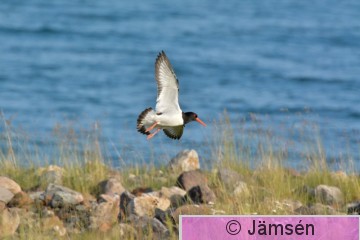 DSC_6522.jpg