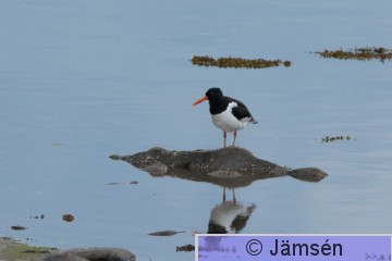 DSC_21480529.jpg