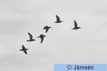 DSC_9139009609.jpg