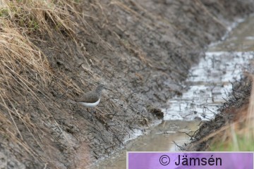 DSC_48587750.jpg
