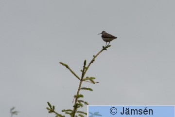 DSC_9390014544.jpg