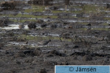 DSC_57935791.jpg