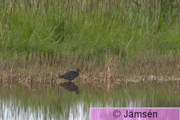 DSC_6099017144.jpg
