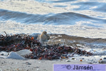 DSC_2028.jpg