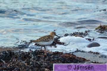 DSC_2053.jpg