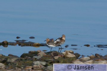 DSC_090714171.jpg