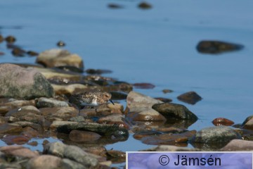 DSC_100114255.jpg
