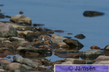 DSC_100214256.jpg