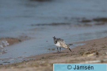 DSC_2391019379.jpg
