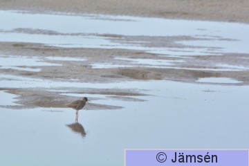 20170519-DSC_2075.jpg