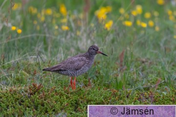 DSC_23030607.jpg
