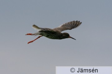 DSC_25160673.jpg
