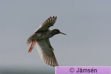 DSC_25190676.jpg