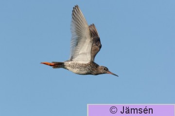 DSC_063614013.jpg