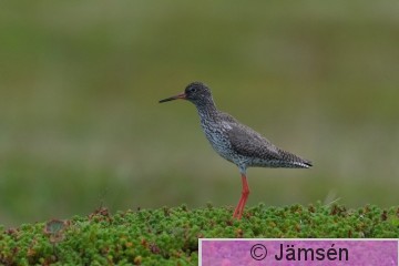 DSC_7044017413.jpg