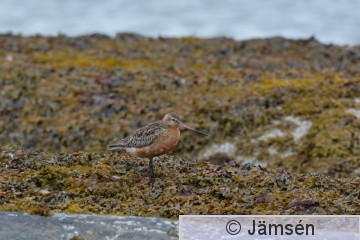 20160707-DSC_1463.jpg