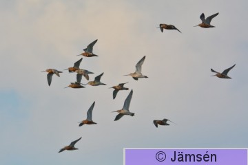 DSC_6538.jpg