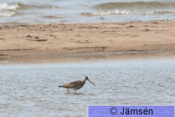 DSC_3806020141.jpg
