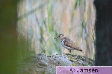 20150714-DSC_3323.jpg